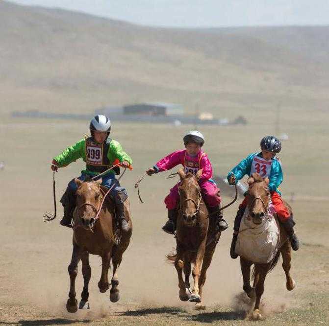 лошадь монгольская выносливость