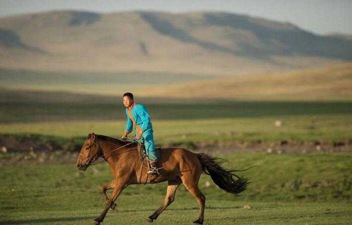 монгольская узда для лошади