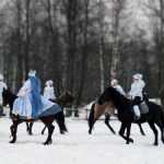 КСК "Соловьиная Роща": верховая езда, прогулки на лошадях и фотосессии