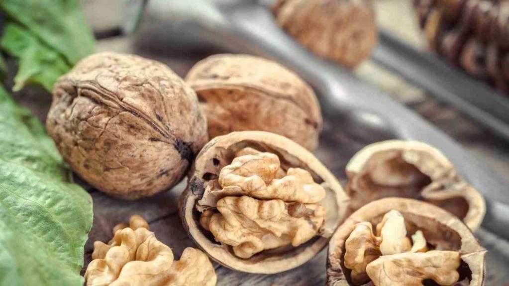 Можно ли есть орехи при похудении