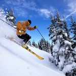 Лыжный спорт - это... Определение, виды, классификация, характеристики и особенности
