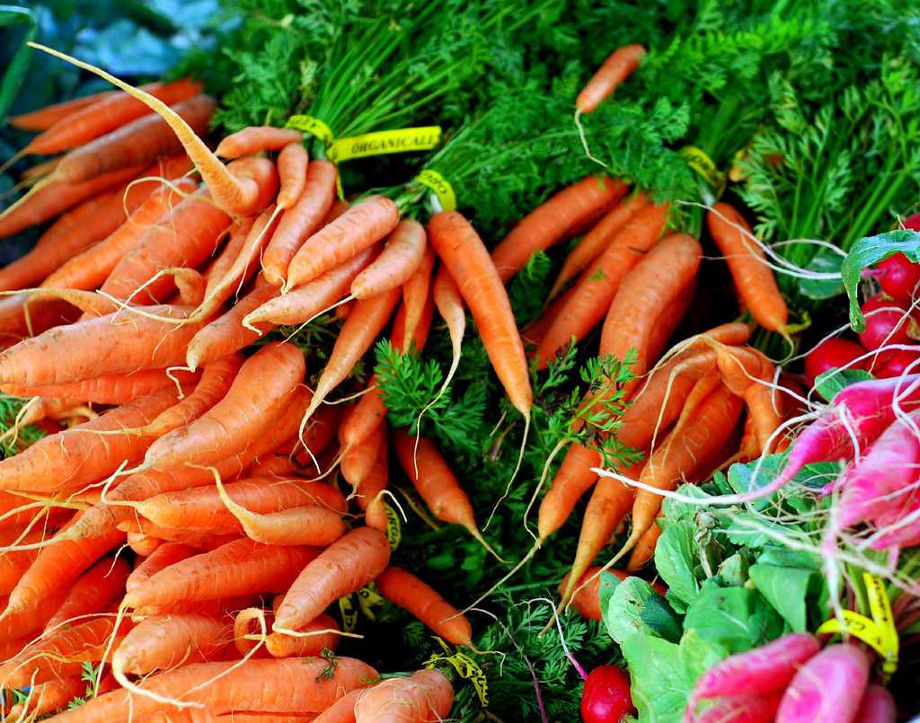 Диета на сырой моркови