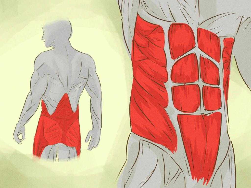 Мостик для спины тренирует мышцы кора